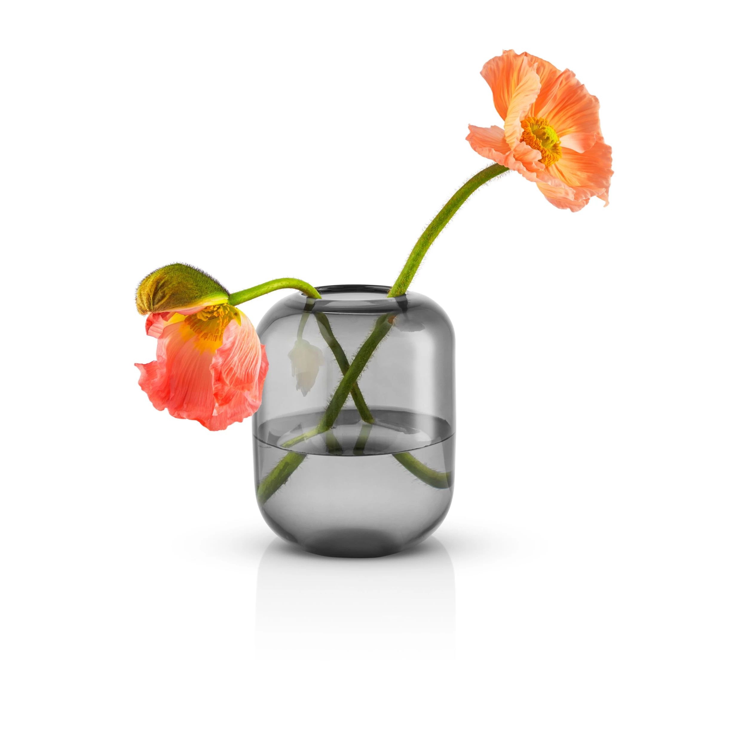 Eva Solo Acorn Vaas 16,5 Cm - Afbeelding 3